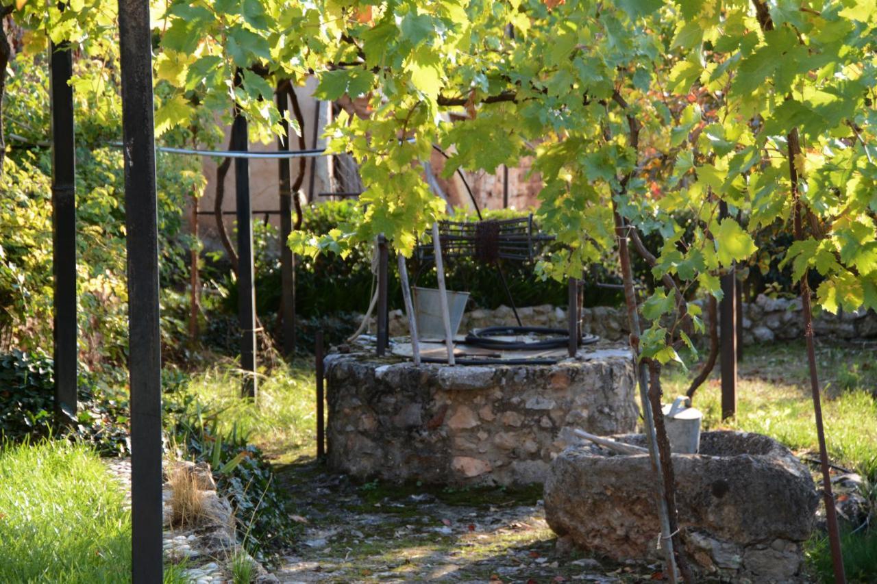 Giorgos' & Noula'S Cottage In Desfina Village- Near Delphi المظهر الخارجي الصورة